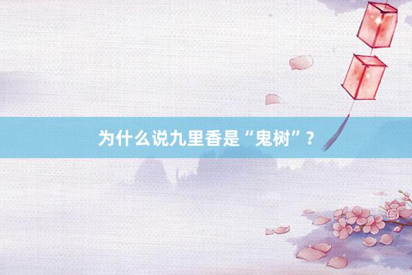 为什么说九里香是“鬼树”？