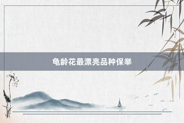 龟龄花最漂亮品种保举