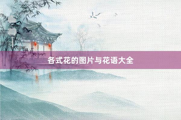 各式花的图片与花语大全