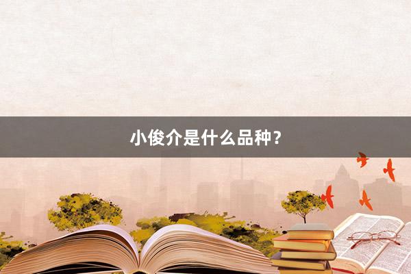 小俊介是什么品种？