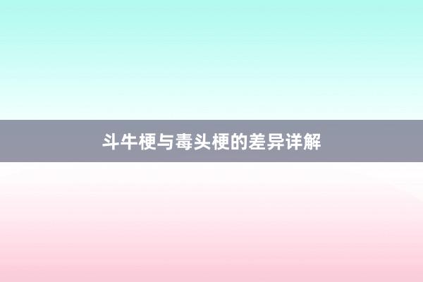 斗牛梗与毒头梗的差异详解