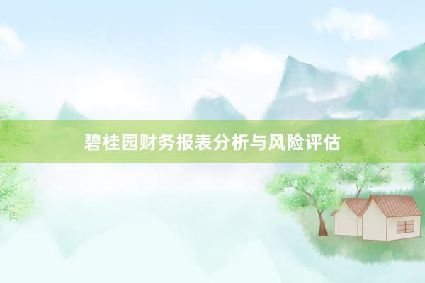 碧桂园财务报表分析与风险评估